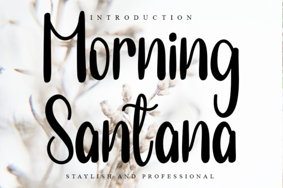 Bring Your Creations to Life with Morning Santana