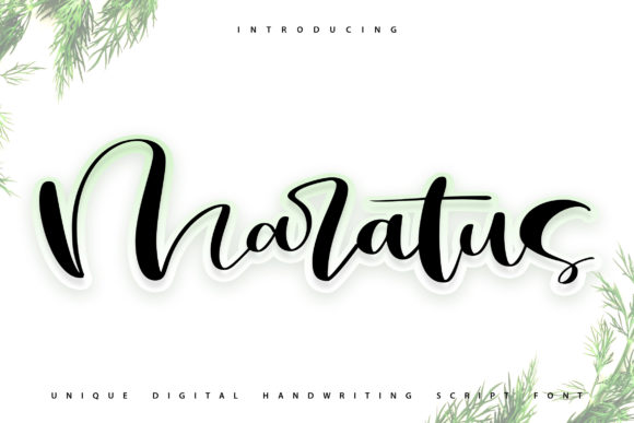 Bring Your Creations to Life with the Maratus Font